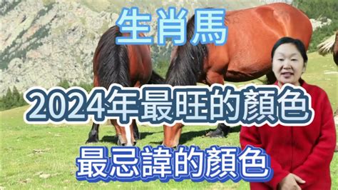 生肖馬顏色|屬馬2024運勢丨屬馬增運顏色、開運飾物、犯太歲化解、年份